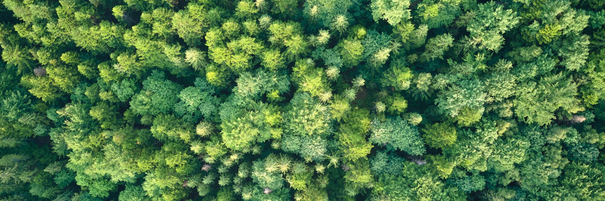 Lavoriamo per soluzioni eco-sostenibili: Sostituzione dell’iso-butano per il bene dell’ambiente!